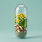 Balance Clay - immagine 4