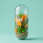Balance Shampoo - immagine 4