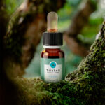 Tea Tree Treatment Oil - immagine 3